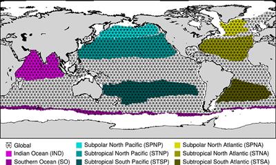 The Sensitivity of the Marine Carbonate System to Regional Ocean Alkalinity Enhancement